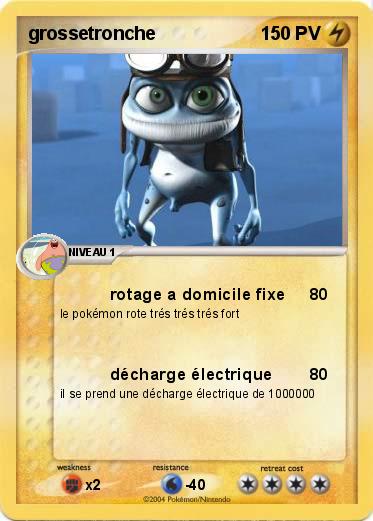 Pokemon grossetronche                             