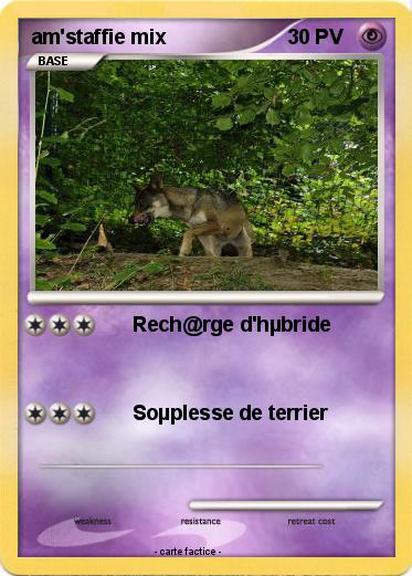 Pokemon am'staffie mix