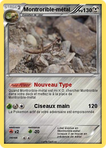 Pokemon Montrorible-métal