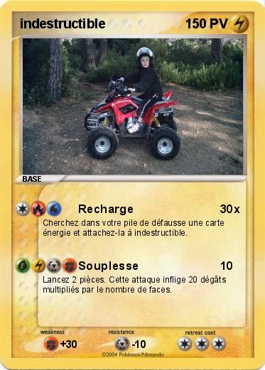 Pokemon indestructible