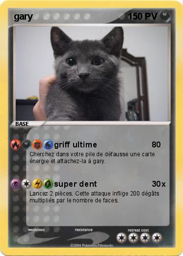 Pokemon gary