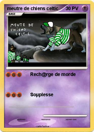 Pokemon meutre de chiens celtic