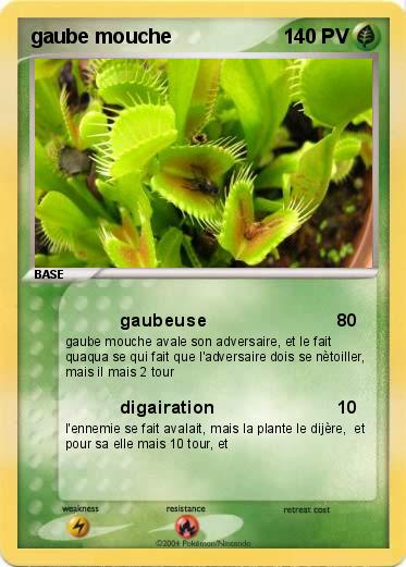 Pokemon gaube mouche