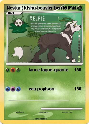 Pokemon Nestar ( kishu-bouvier bernois mix )
