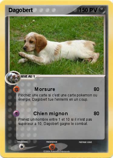 Pokemon Dagobert