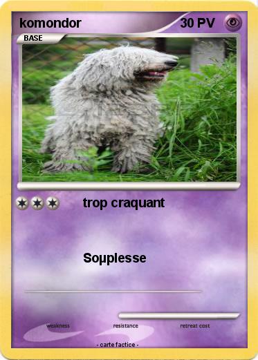 Pokemon komondor