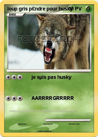 Pokemon loup gris p£ndre pour husky