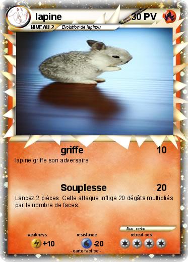 Pokemon lapine
