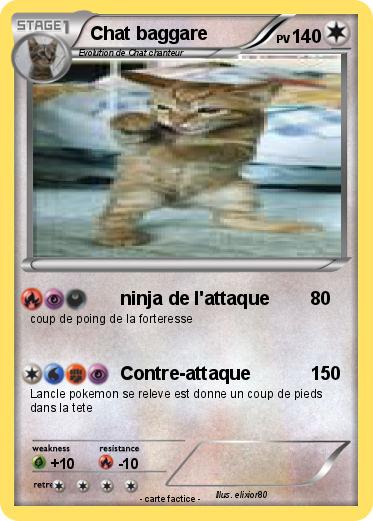 Pokemon Chat baggare