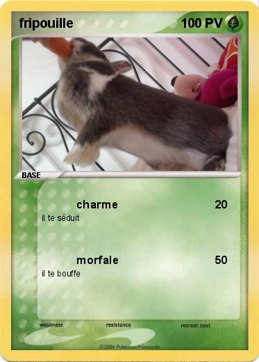 Pokemon fripouille