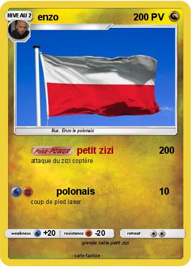 Pokemon enzo