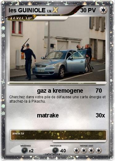 Pokemon les GUINIOLE