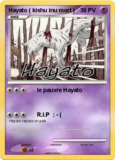 Pokemon Hayato ( kishu inu mort )