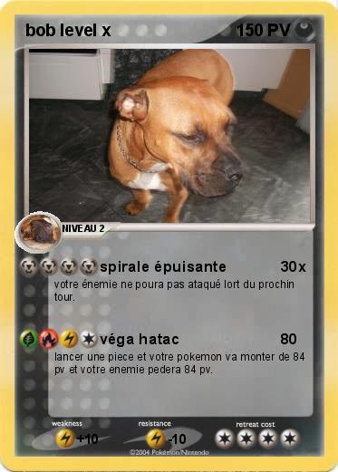 Pokemon bob level x