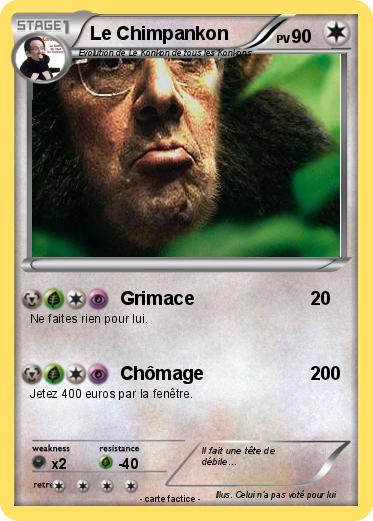 Pokemon Le Chimpankon