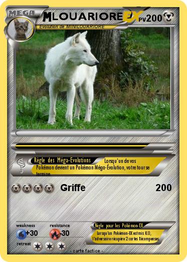 Pokemon LOUARIORE