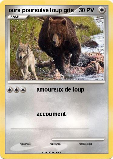 Pokemon ours poursuive loup gris