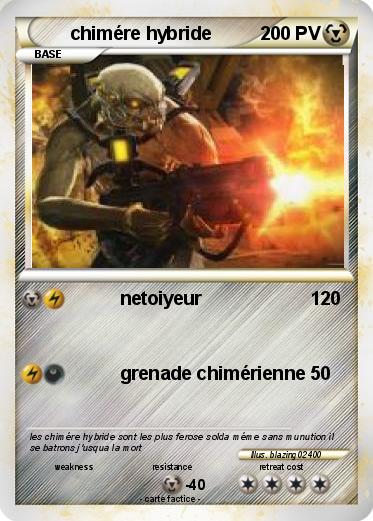 Pokemon chimére hybride