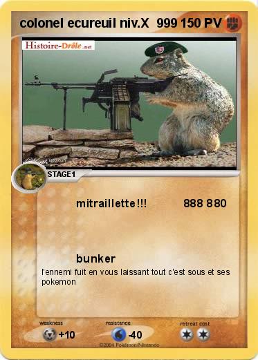 Pokemon colonel ecureuil niv.X  999