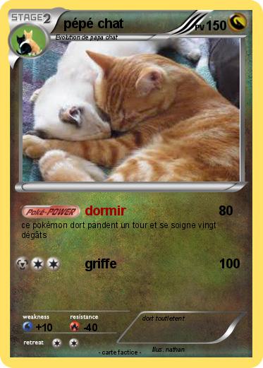 Pokemon pépé chat