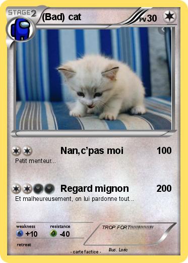 Pokemon (Bad) cat
