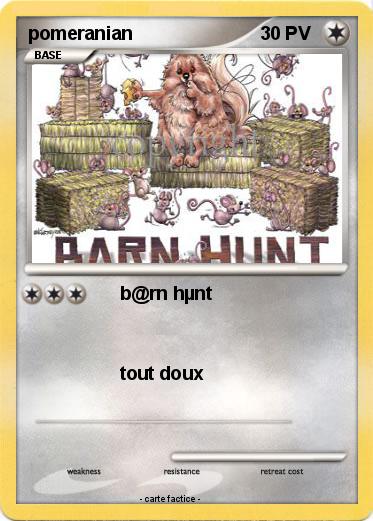 Pokemon pomeranian