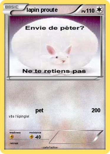 Pokemon lapin proute