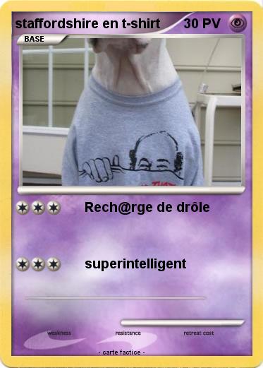 Pokemon staffordshire en t-shirt