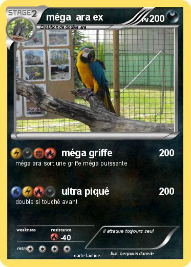 Pokemon méga  ara ex