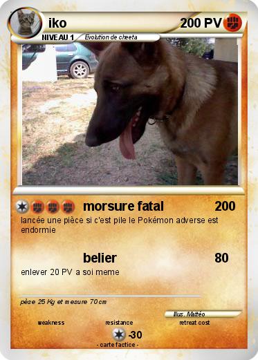 Pokemon iko