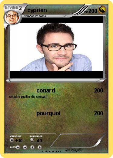 Pokemon cyprien