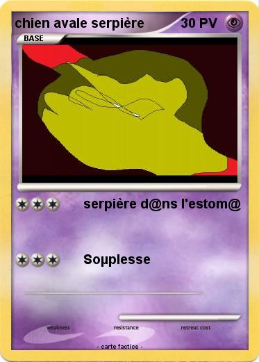 Pokemon chien avale serpière