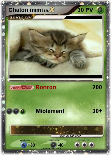 Pokemon Chaton mimi