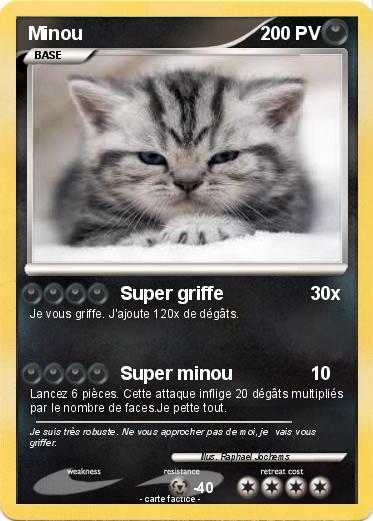 Pokemon Minou