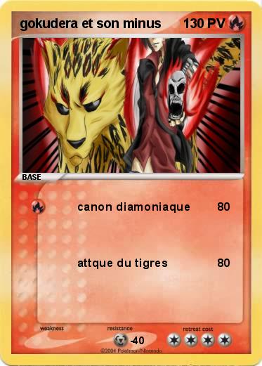 Pokemon gokudera et son minus