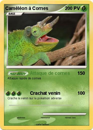Pokemon Caméléon à Cornes