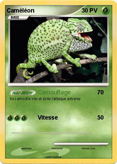 Pokemon Caméléon