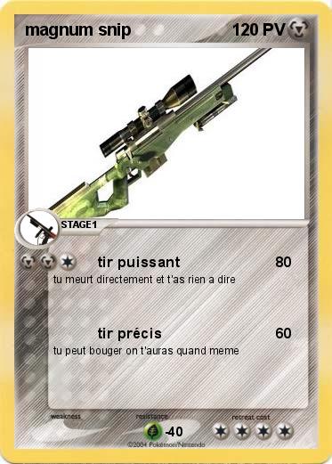 Pokemon magnum snip