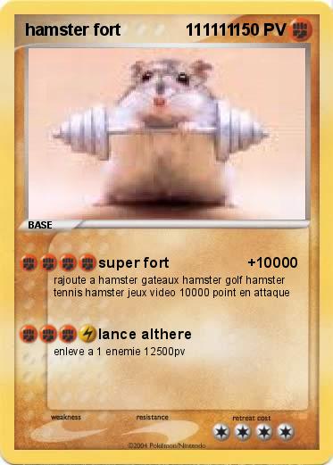 Pokemon hamster fort              111111
