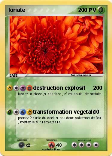 Pokemon loriate
