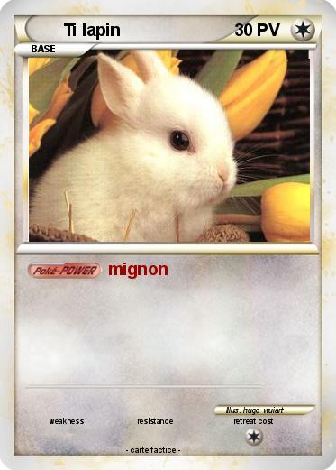 Pokemon Ti lapin