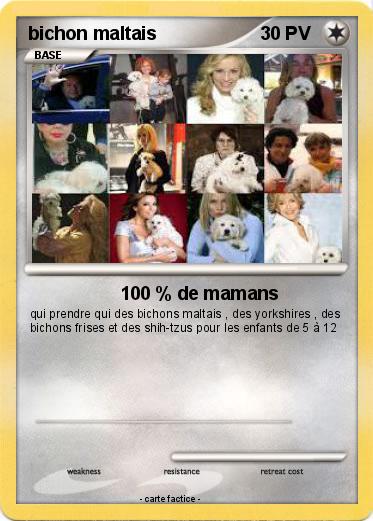 Pokemon bichon maltais