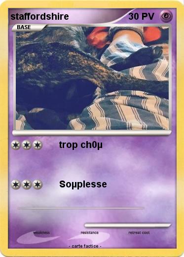 Pokemon staffordshire