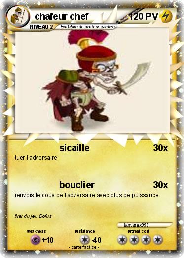 Pokemon chafeur chef