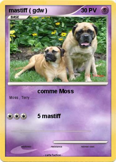 Pokemon mastiff ( gdw )