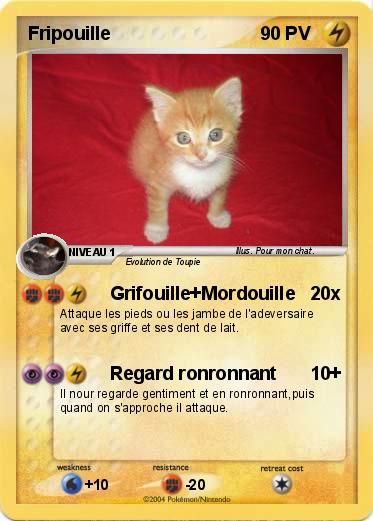 Pokemon Fripouille