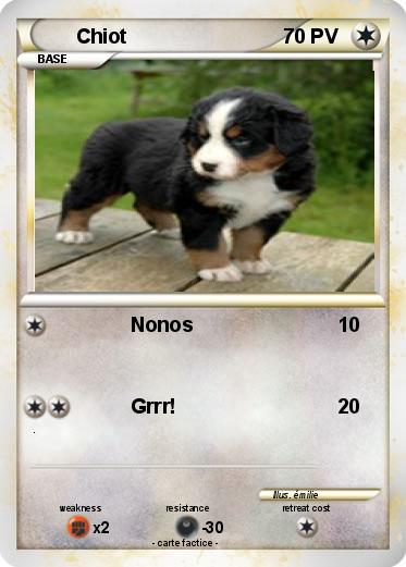 Pokemon Chiot