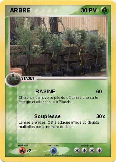 Pokemon  ARBRE
