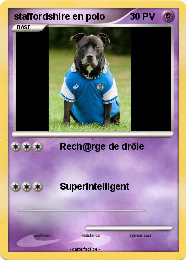 Pokemon staffordshire en polo
