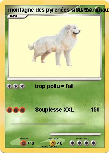 Pokemon montagne des pyrenées sims 2 animaux & cie